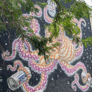 Meet your Posher, Amanda ann